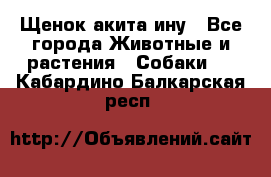 Щенок акита ину - Все города Животные и растения » Собаки   . Кабардино-Балкарская респ.